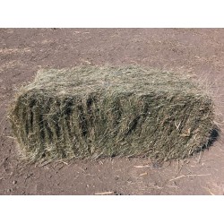 2021 Conventional Bale Hay