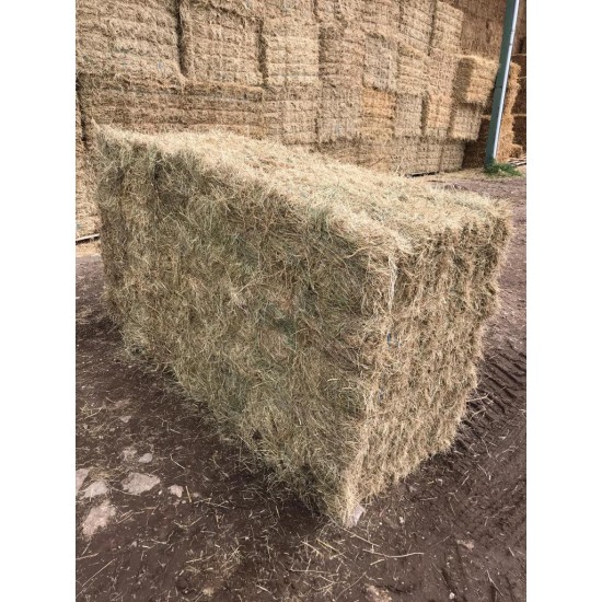 Conventional Bale Hay Packs 