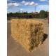 Conventional Bale Barley Straw 
