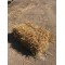 Conventional Bale Wheat Straw