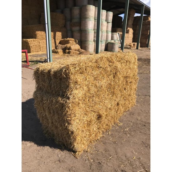 Conventional Bale Wheat Straw Packs
