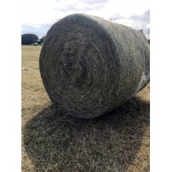 Round Bale Hay - Field Use